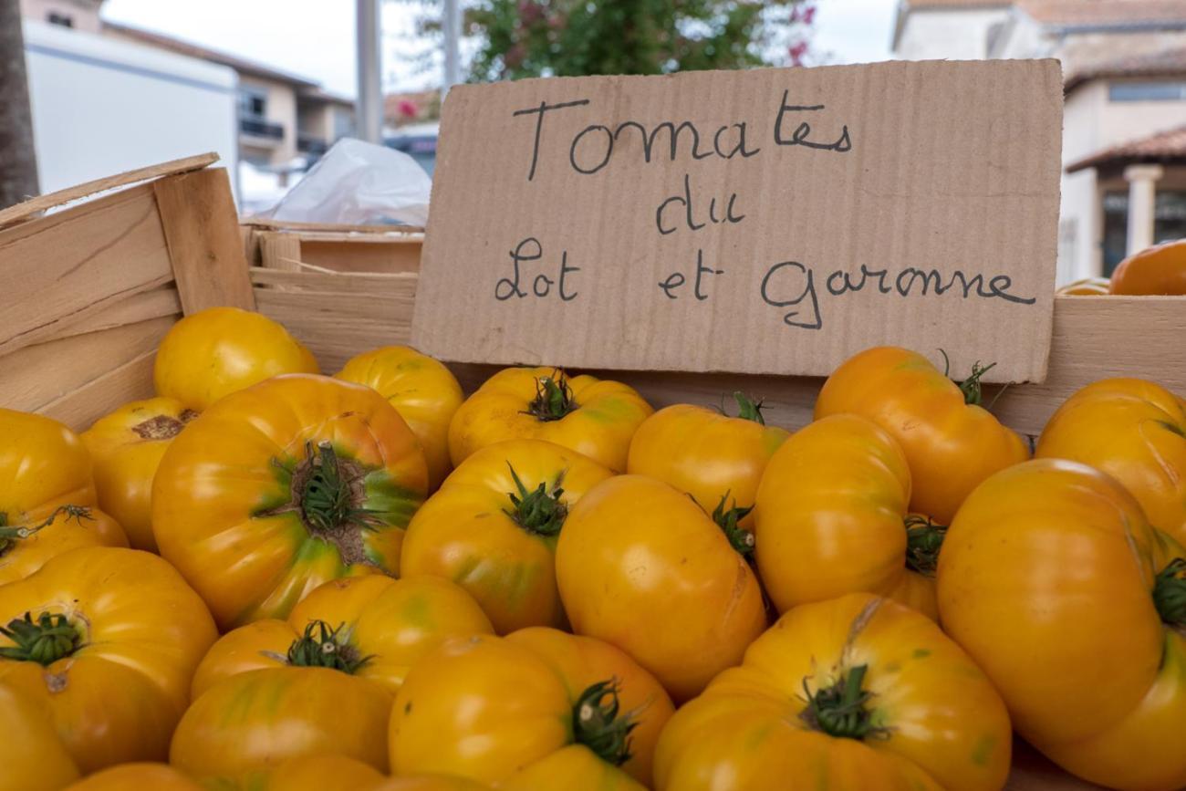 La Maison Duffour Chambres D'Hotes Avec Petit Dejeuner Tonneins Esterno foto